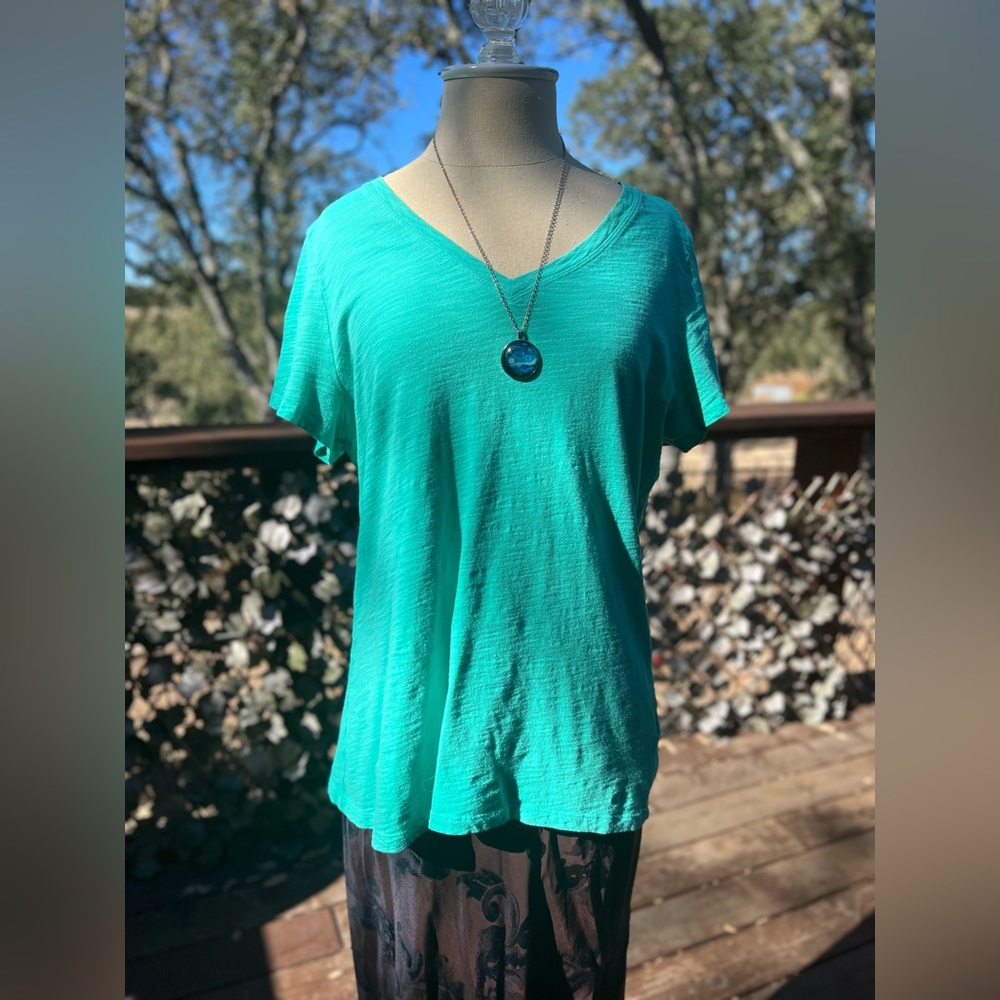 Tommy Hilfiger Teal T-Shirt